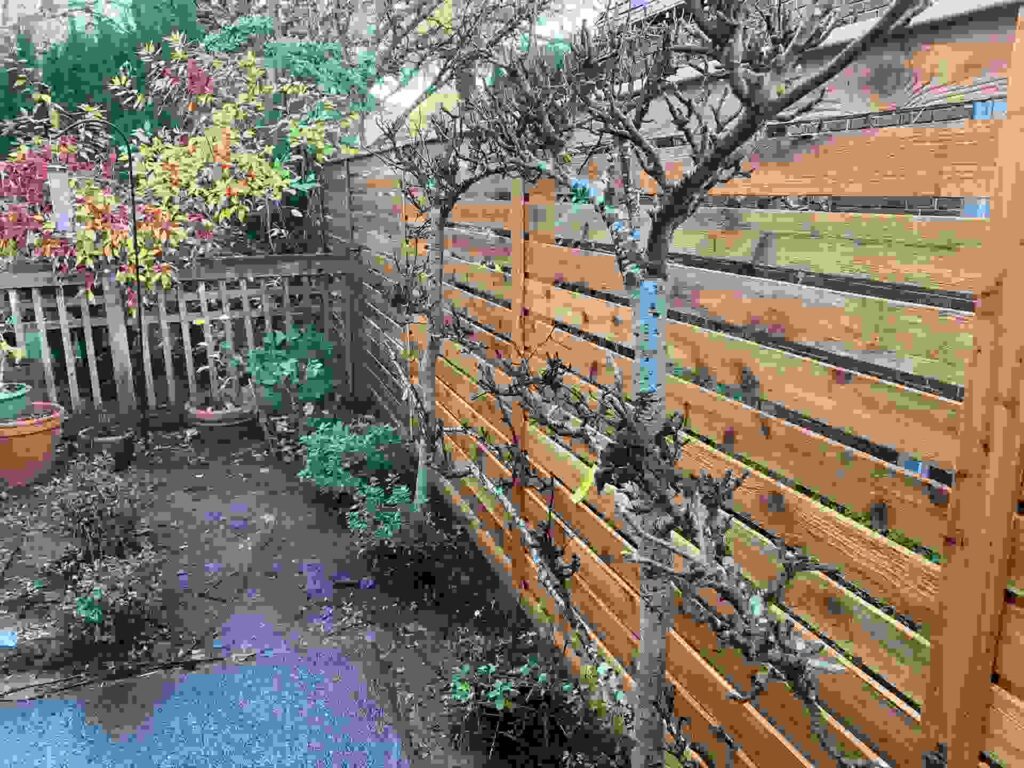 Horizontal cedar fence design for yard, modern wood fence contractor services in Seattle, WA