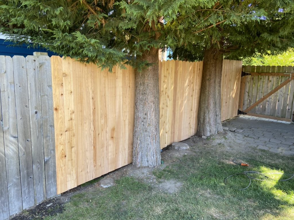 cedar wood fence seattle