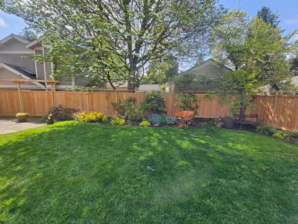 Somerset - Bellevue - Fence