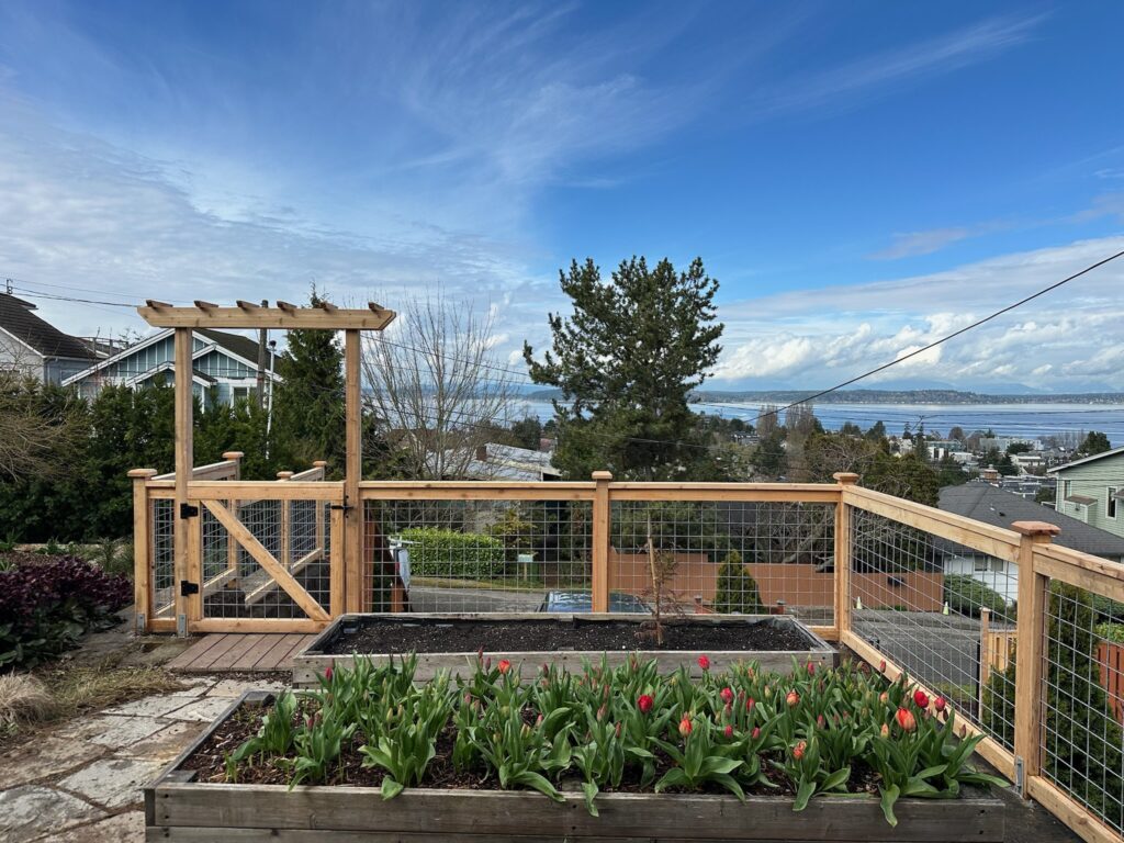 Cougar Mountain - Bellevue - Fence