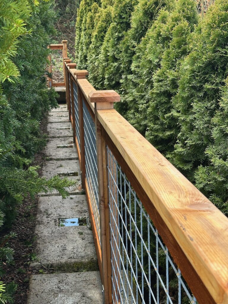 Cougar Mountain - Bellevue - Fence