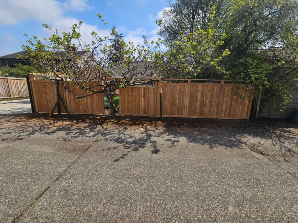 Somerset - Bellevue - Fence