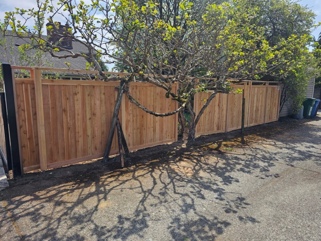 Somerset - Bellevue - Fence