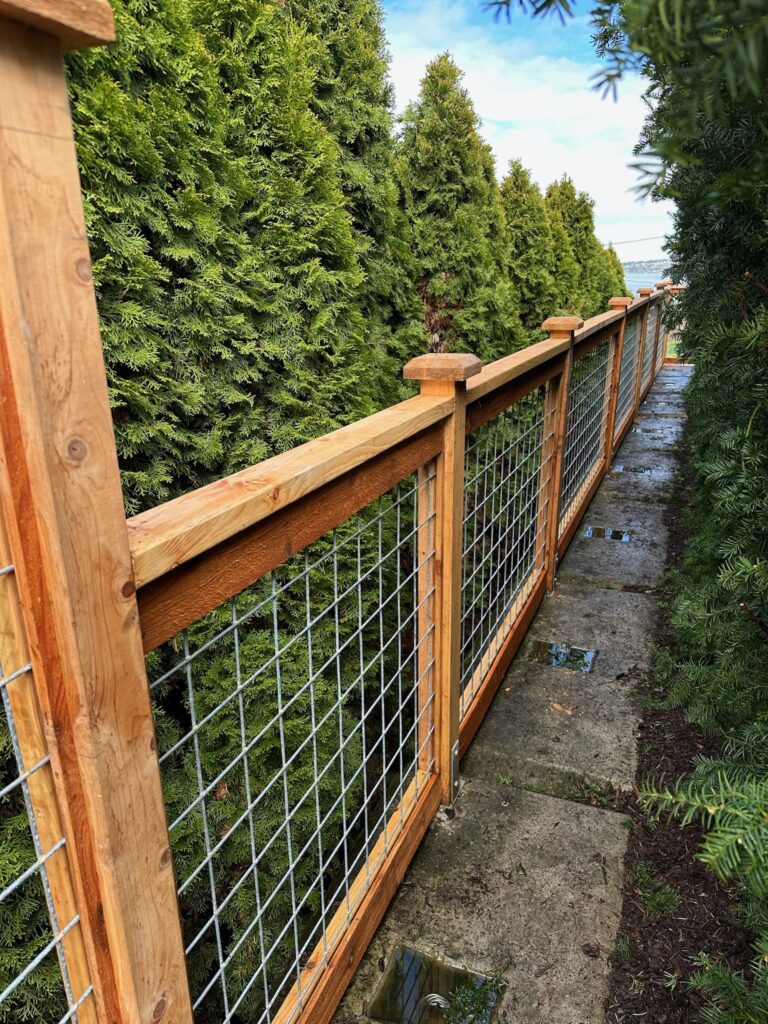 Cougar Mountain - Bellevue - Fence