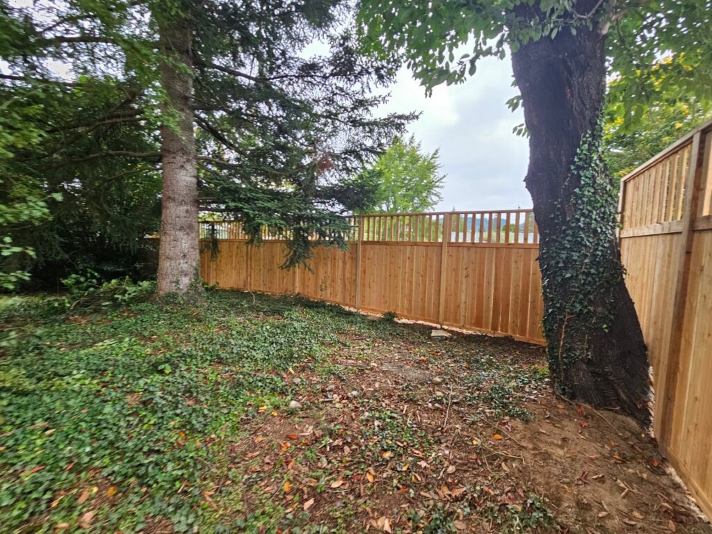 Meydenbauer - Bellevue - Fence