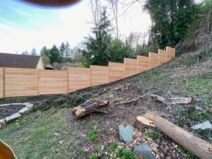 Cedar Fence